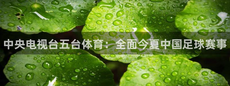 直播360体育直播