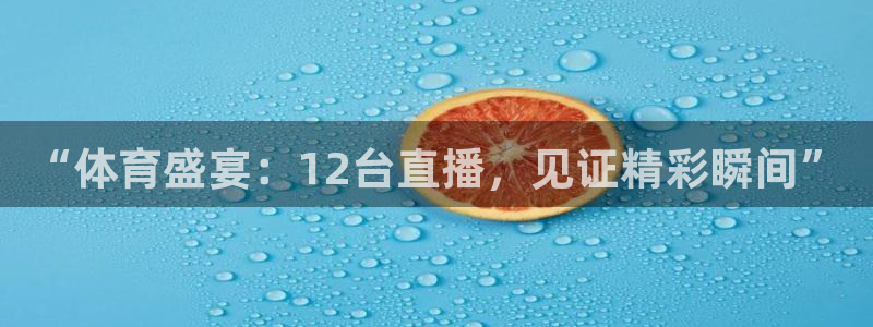 360体育直播观看