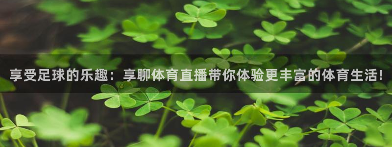 山猫体育360直播平台