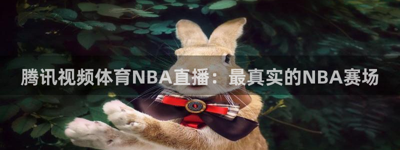 360直播雨燕足球在线观看