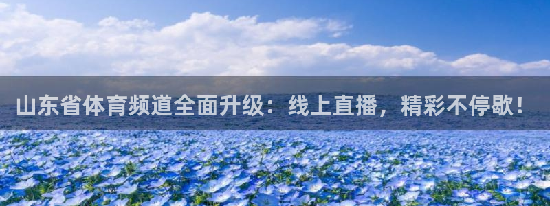 360看球直播在线直播