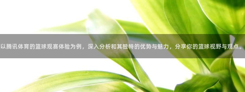 体育直播360网：以腾讯体育的篮球观赛体验为例，深入分析和其独特的优势与魅力，分享你的篮球视野与观点。