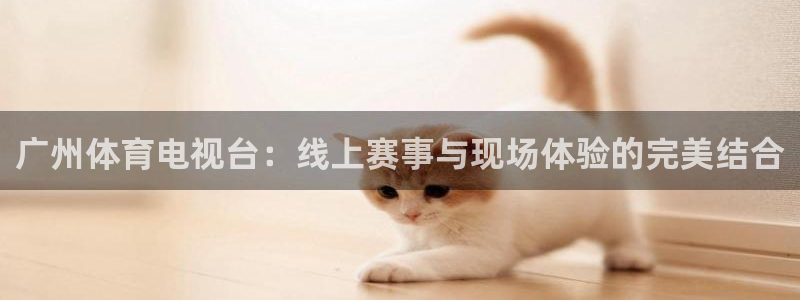 360直播网球直播在线观看：广州体育电视台：线上赛事与现场体验的完美结合